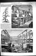 Old Print 1860 Manufacture Brown Polson Corn Flour Indian Plant Industry 19th