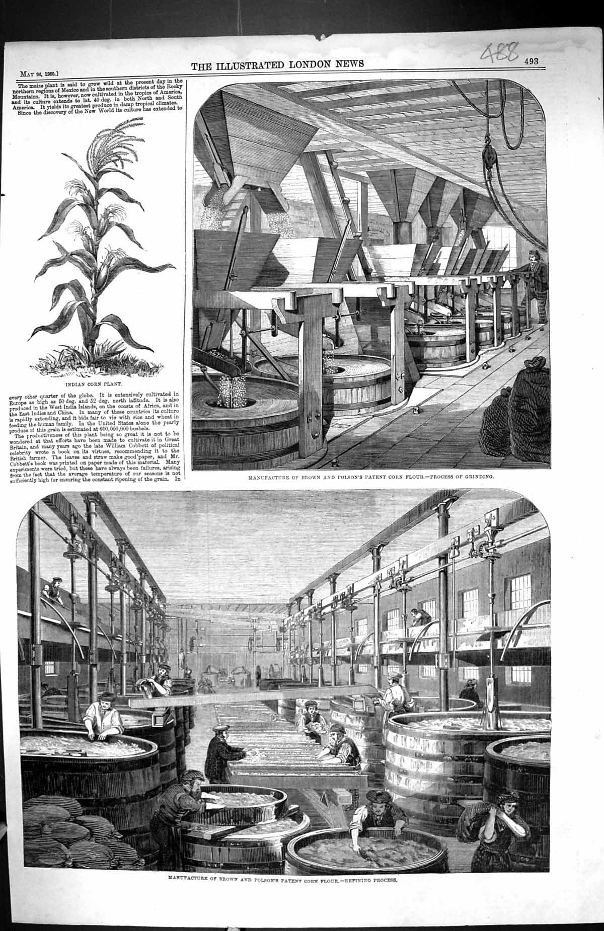 Old Print 1860 Manufacture Brown Polson Corn Flour Indian Plant Industry 19th