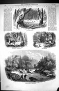Old 1858 Canada Wild Turkey Shooting Deer Stalking Escoumains Salmon Victorian