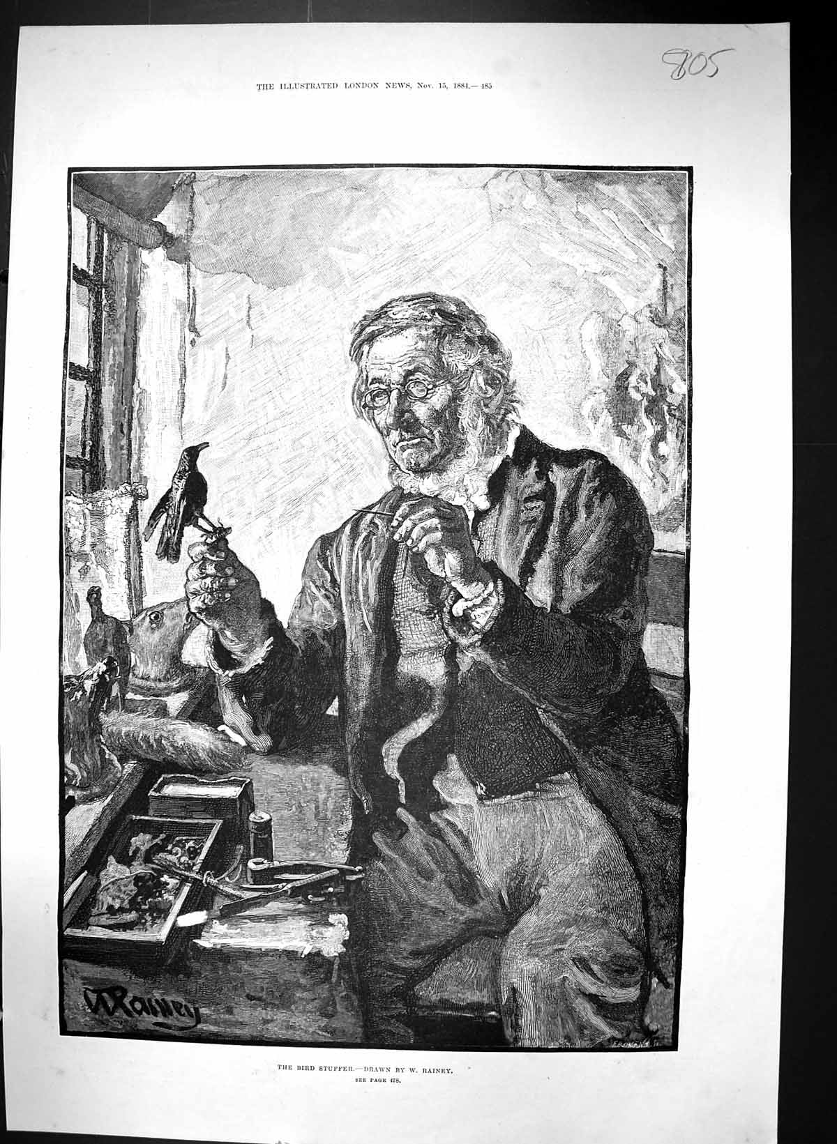 Original Old Antique Print 1884 Rainey Fine Art Man Bird Stuffer Taxidermist