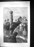 Old 1873 Easter Monday Visitors Zoological Society Gardens Bears Anim Victorian