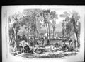 Antique Print 1859 War Italy Bivouac French Siers Cameriano Horses Beauce 19th
