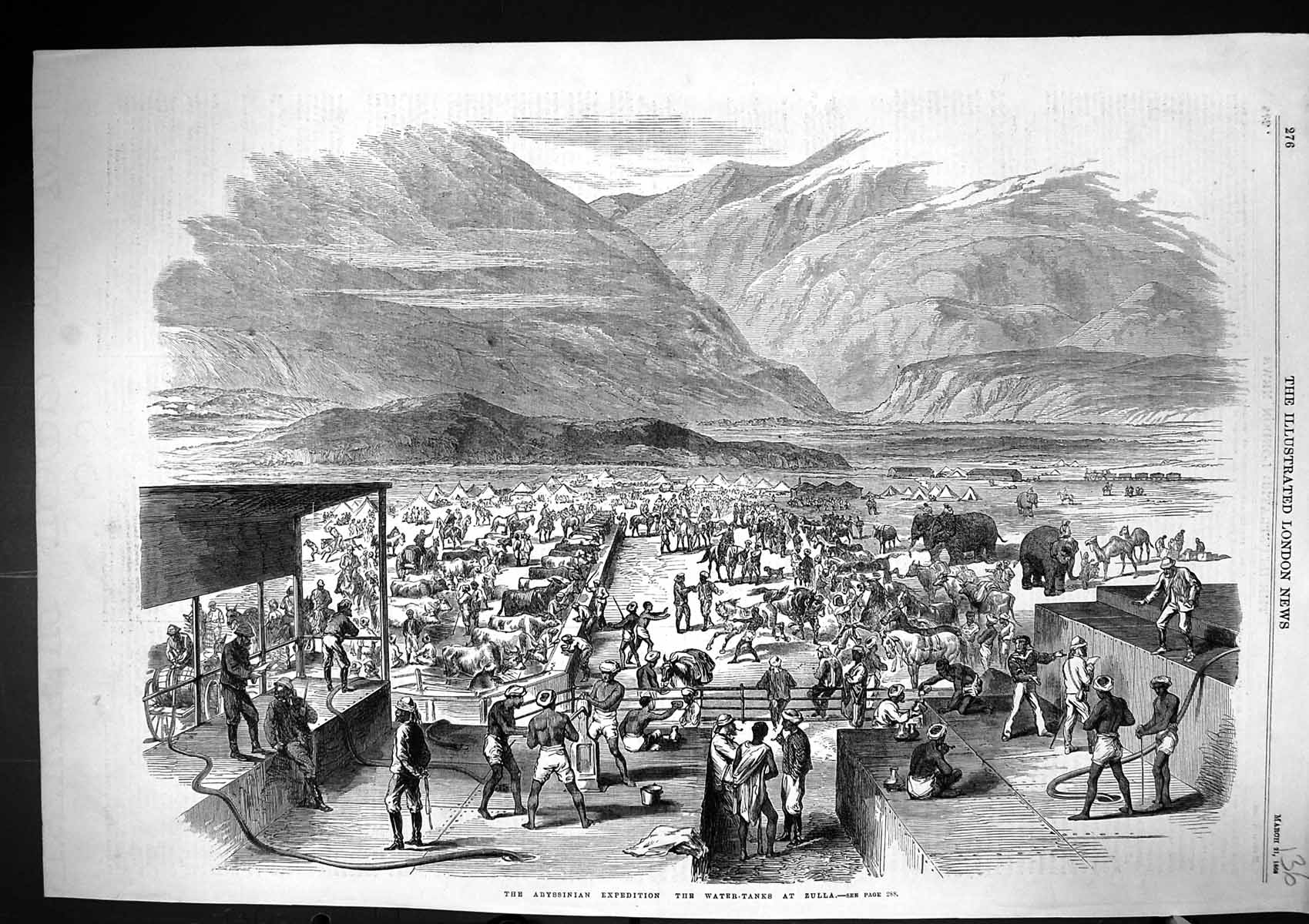 Old Print 1868 Abyssinia Expedition Water Tanks Zulla Siers Cattle Horse 19th