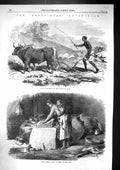 Old 1868 Abyssinia Expedition Native Ploughing Tigre Woman Grinding C Victorian