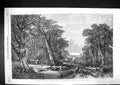 Antique Print 1864 Woods Autumn Henry Jutsum Bullock Cart Trees Countryside