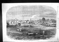 Antique Print 1858 Prince Consort Model Farm Osborne Sheep Cattle Buildings