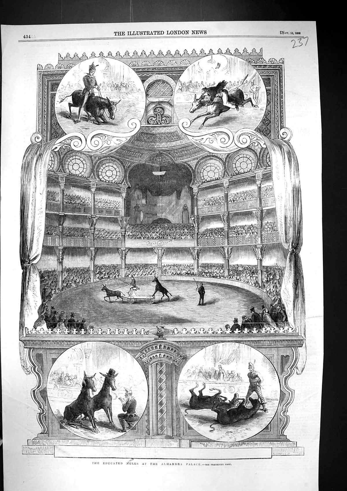 Original Old Antique Print 1858 Performing Educated Mules Alhambra Theatre 19th