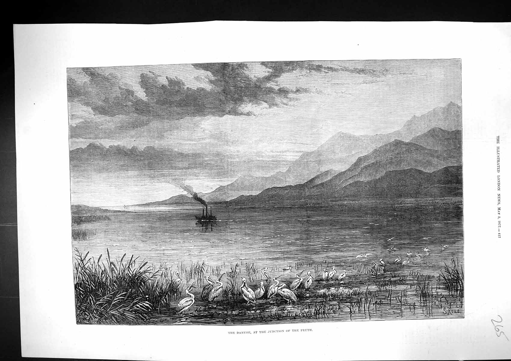 Old 1877 River Danube Junction River Pruth Mountains Birds Steam Ship Victorian
