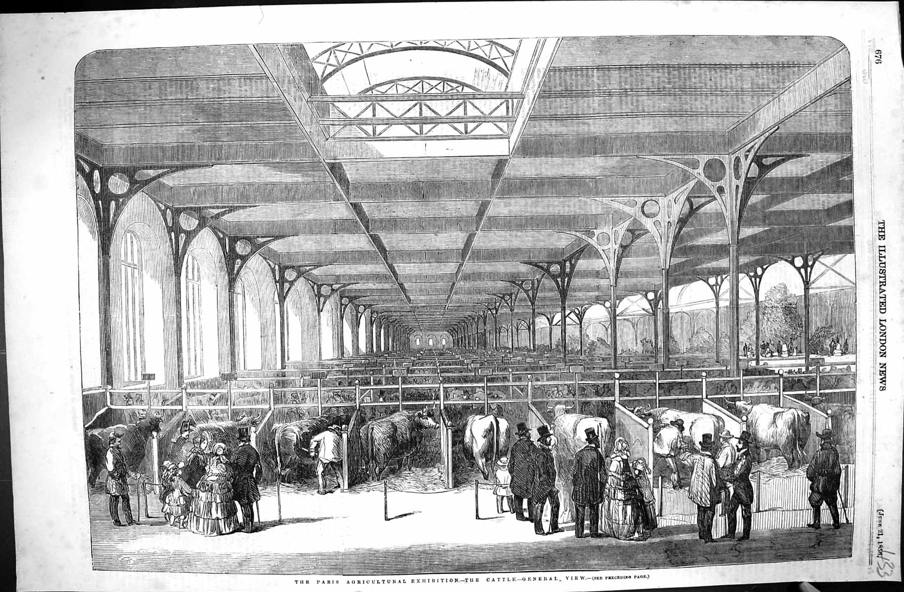 Antique Print 1856 Paris Agricultural Exhibition Cattle Hall France Animals