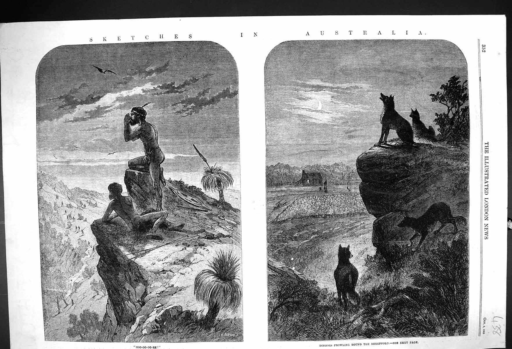 Old 1863 Australia Dingoes Wild Dogs Prowling Sheep Shepherd Moonligh Victorian