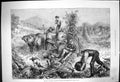 Old Print 1881 American Husbandry Gathering Pumpkins Husking Maize Cattle 19th