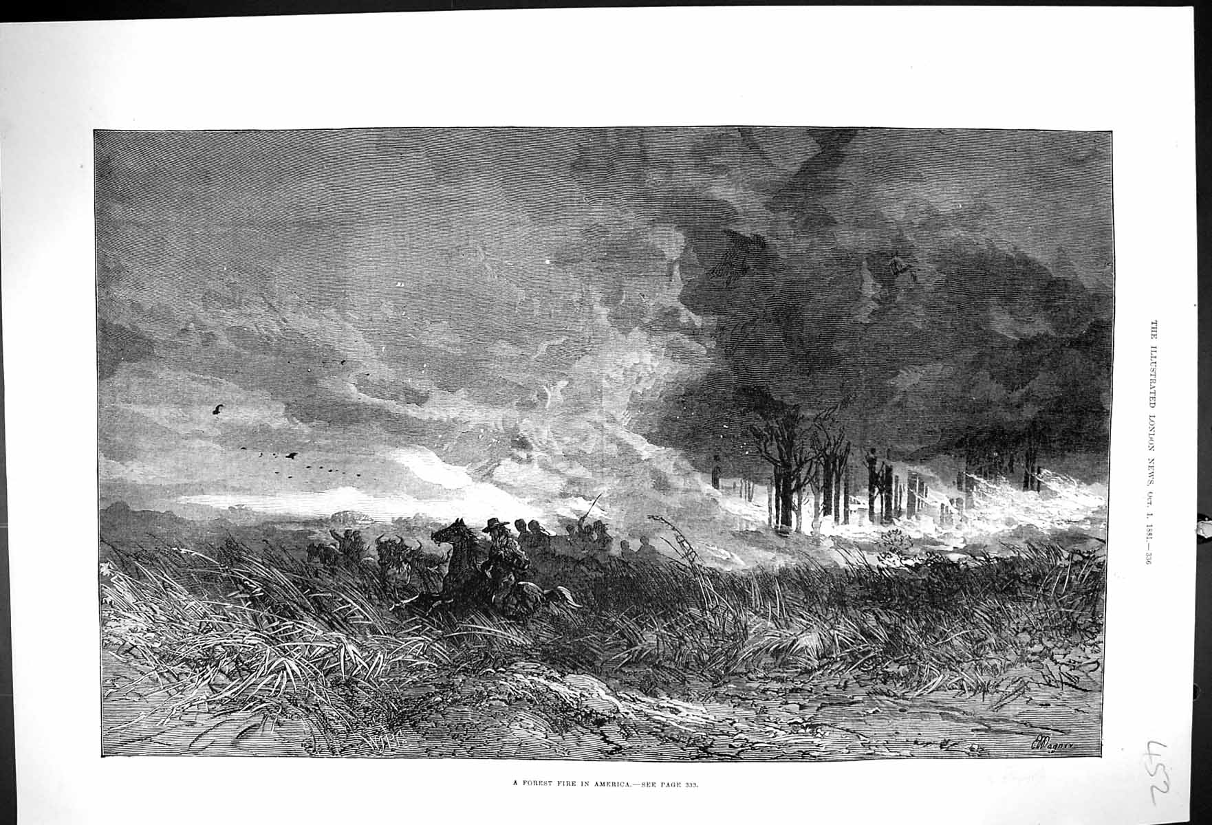 Original Old Antique Print 1881 Forest Fire America Trees Men Horses Fine Art
