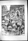 Old 1882 Insurrection Herzegovina Scene Ambuscade Men Weapons Woodvil Victorian