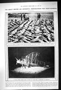 Antique Old Print 1918 British Bombing Machine Aeroplane Bombs War Photograph