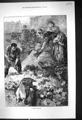 Original Old Antique Print 1873 Scene London Dust-Yard Pig Poor People Fine Art