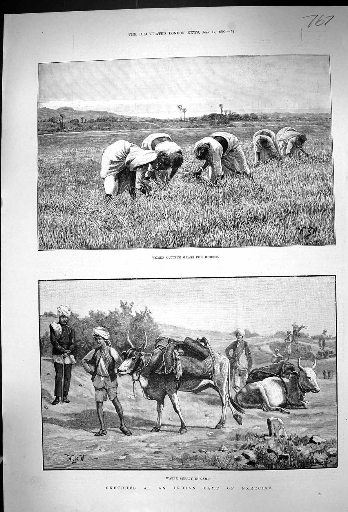 Old 1890 Indian Camp Exercise Water Supply Animals Women Cutting Gras Victorian