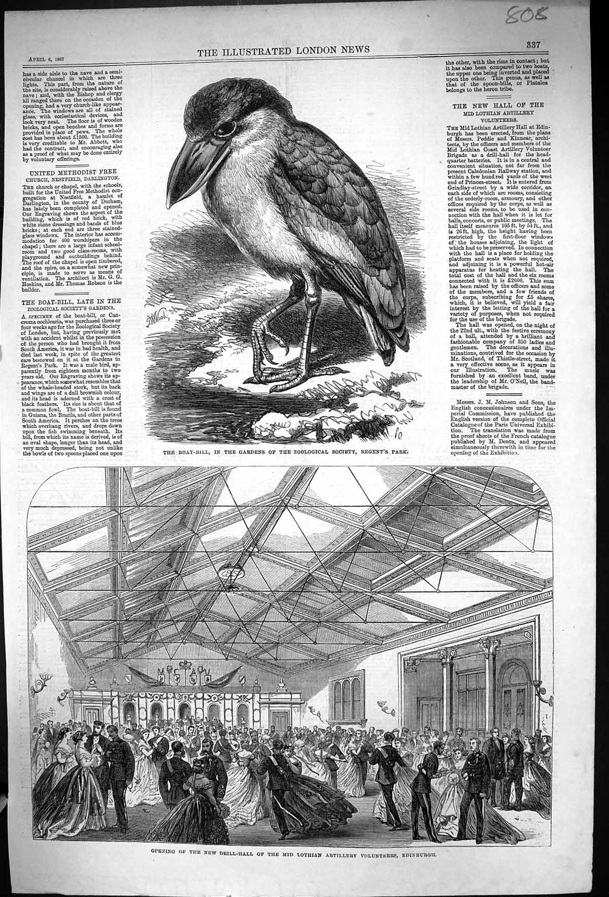 Old 1867 Boat-Bill Bird Opening Drill Hall Midlothian Artillery Volun Victorian