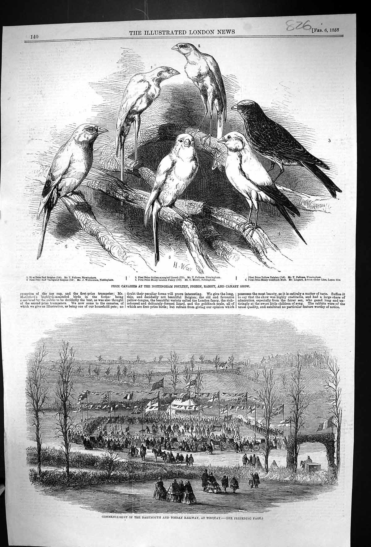 Old 1858 Prize Canaries Birds Nottingham Poultry Dartmouth Torbay Rai Victorian