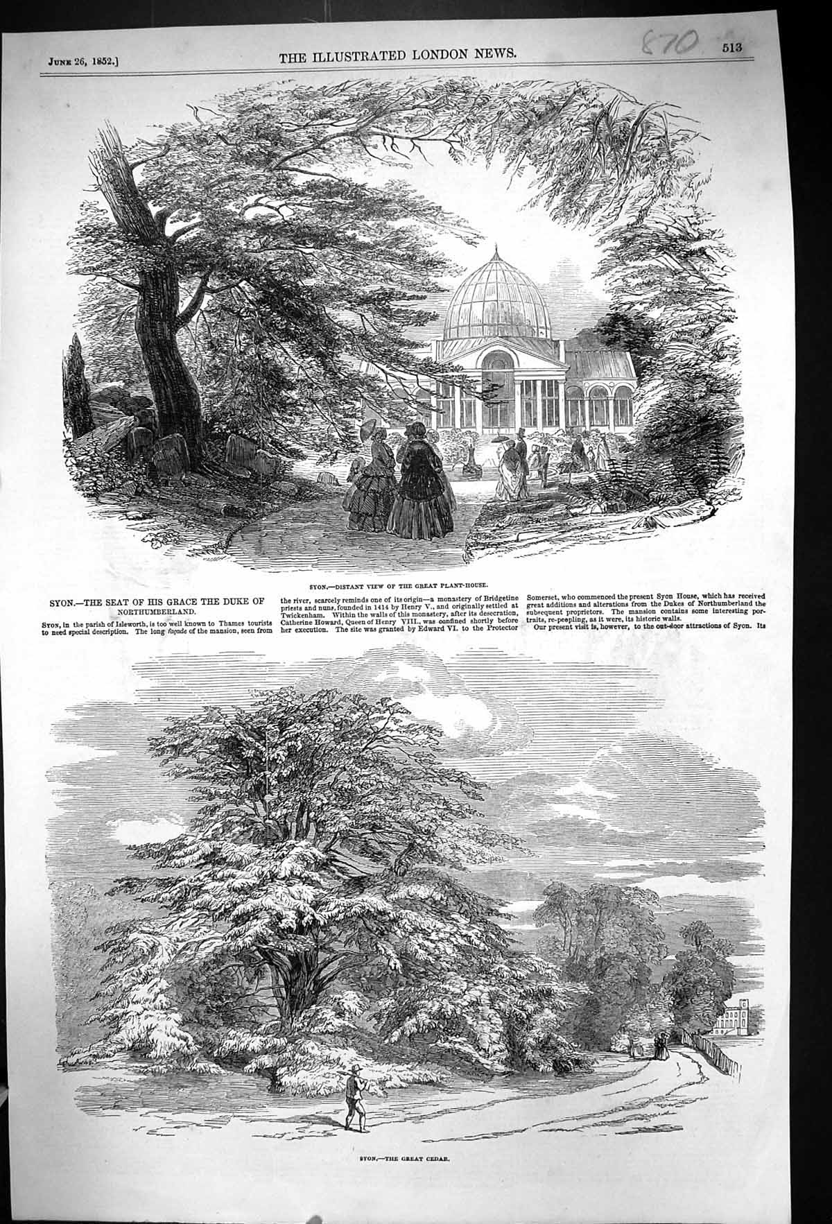 Old Print 1852 Syon Great Plant House Cedar Tree Seat Duke Northumberland 19th
