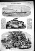 Old 1855 Iona Steamer Ship Sunfish Cork Harbour Treet Removal Barron' Victorian