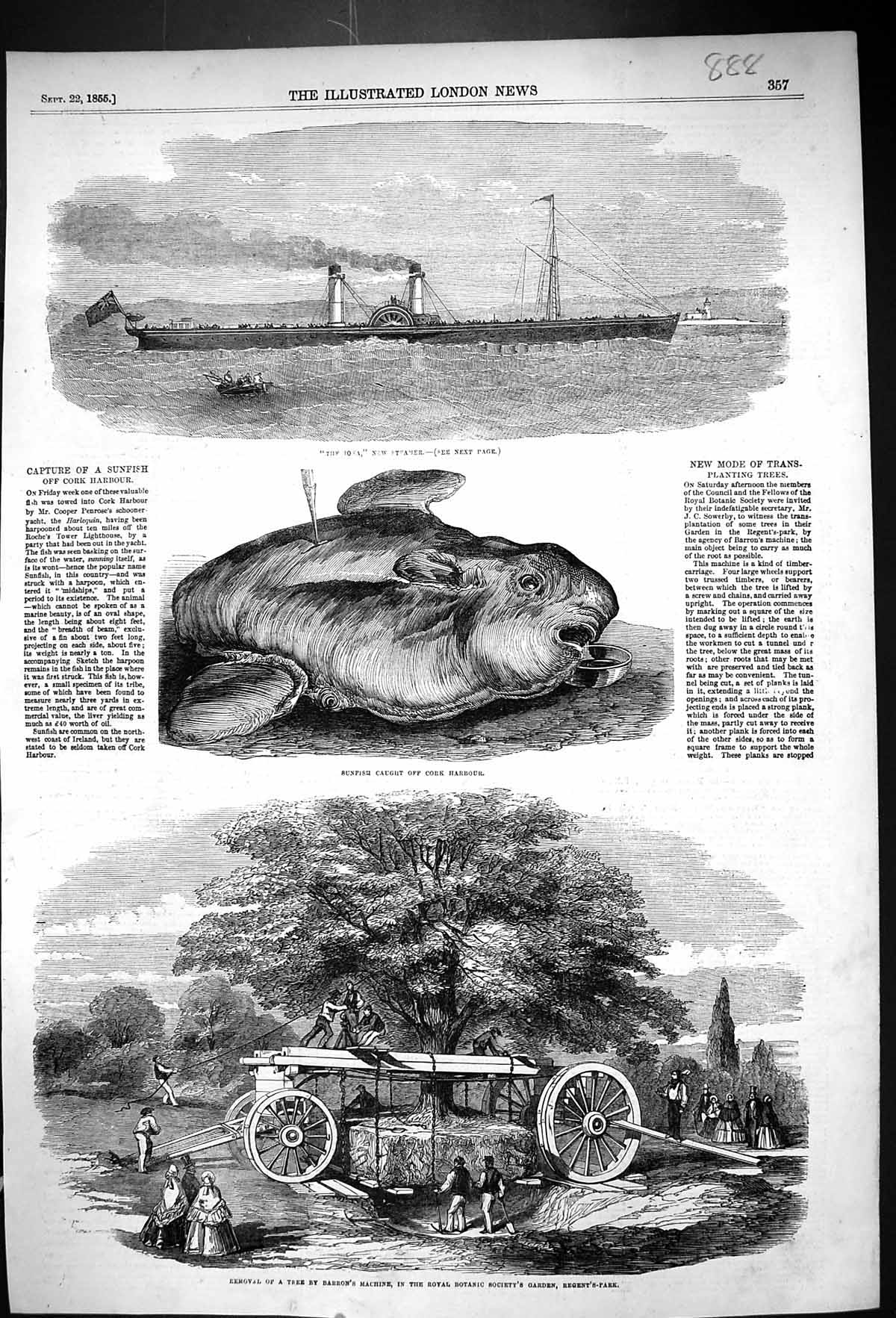 Old 1855 Iona Steamer Ship Sunfish Cork Harbour Treet Removal Barron' Victorian