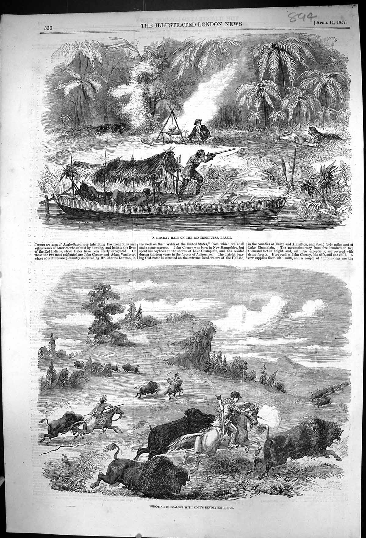 Old 1857 Mid-Day Rio Trombutas Brazil Shooting Buffaloes Colt'S Revol Victorian