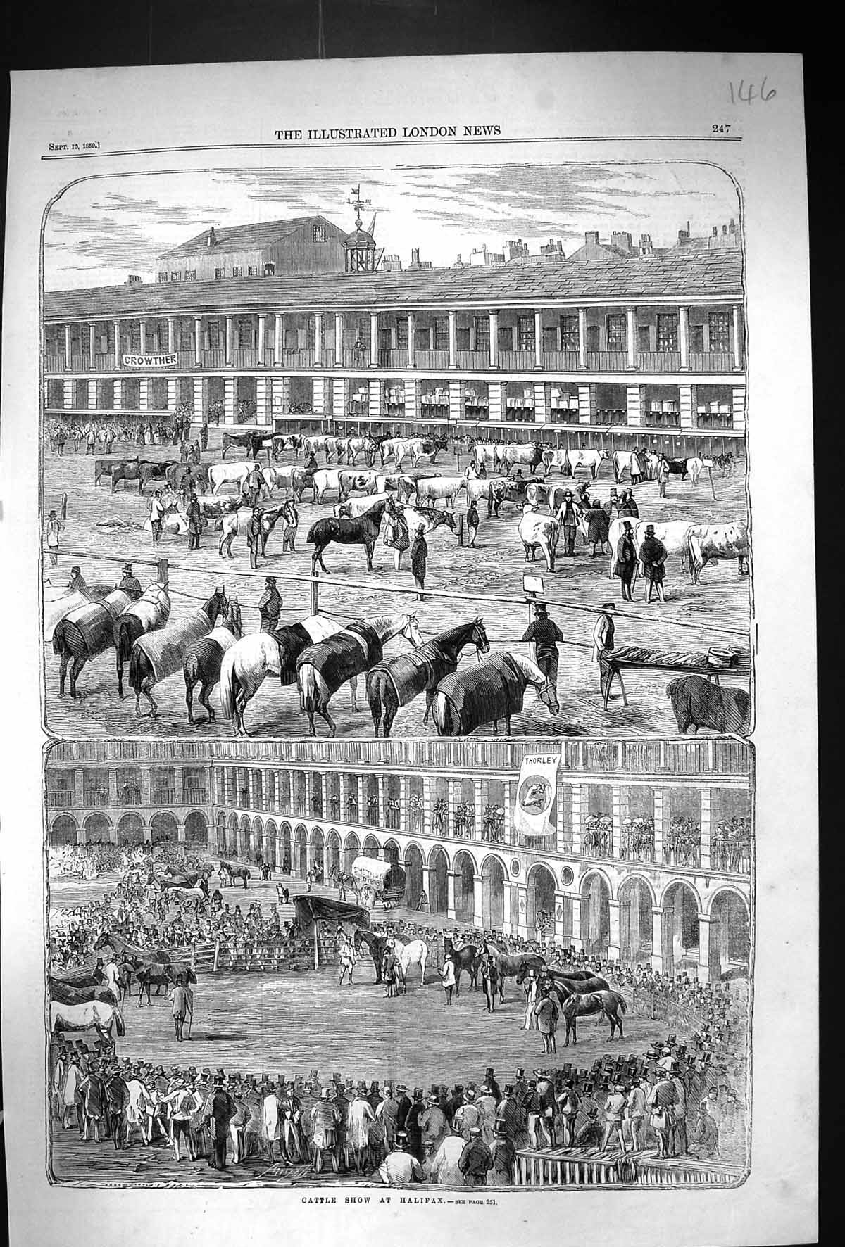 Old Antique Print 1859 Cattle Show Halifax England Horses Cows Prize Ring 19th