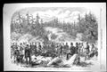 Old 1864 Prince Wales Sweden Elk Shooting Forest Hogtorp Hunting Spor Victorian