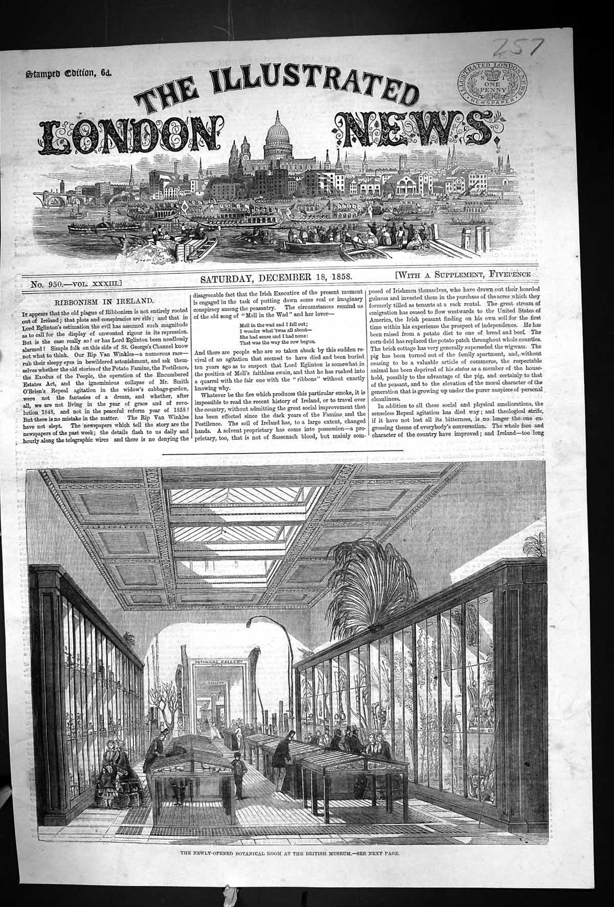 Original Old Antique Print 1858 Newly-Opened Botanical Room British Museum 19th