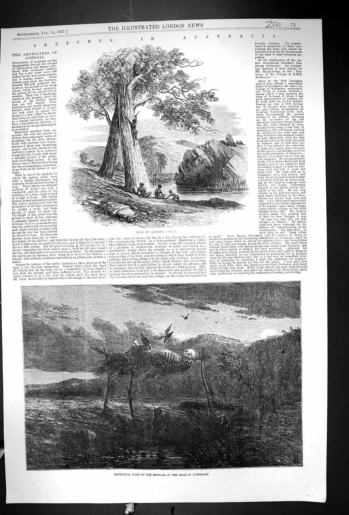 Old 1857 Australia Aborigines Climbing Trees Mode Disposal Dead Bodie Victorian