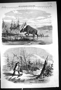 Antique Print 1858 Moose Hunting Canada Bull Feeding Hunter Shooting Sport 19th