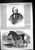 Old 1858 Alderman David Williams Wire Lord Mayor Elect Quagga Regent' Victorian