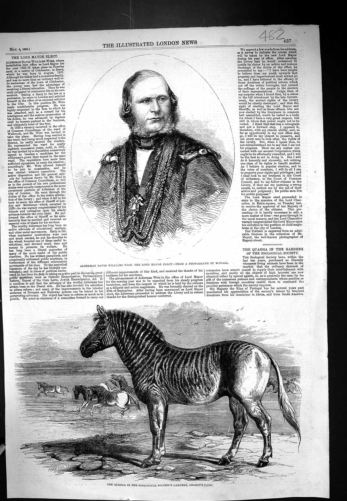 Old 1858 Alderman David Williams Wire Lord Mayor Elect Quagga Regent' Victorian