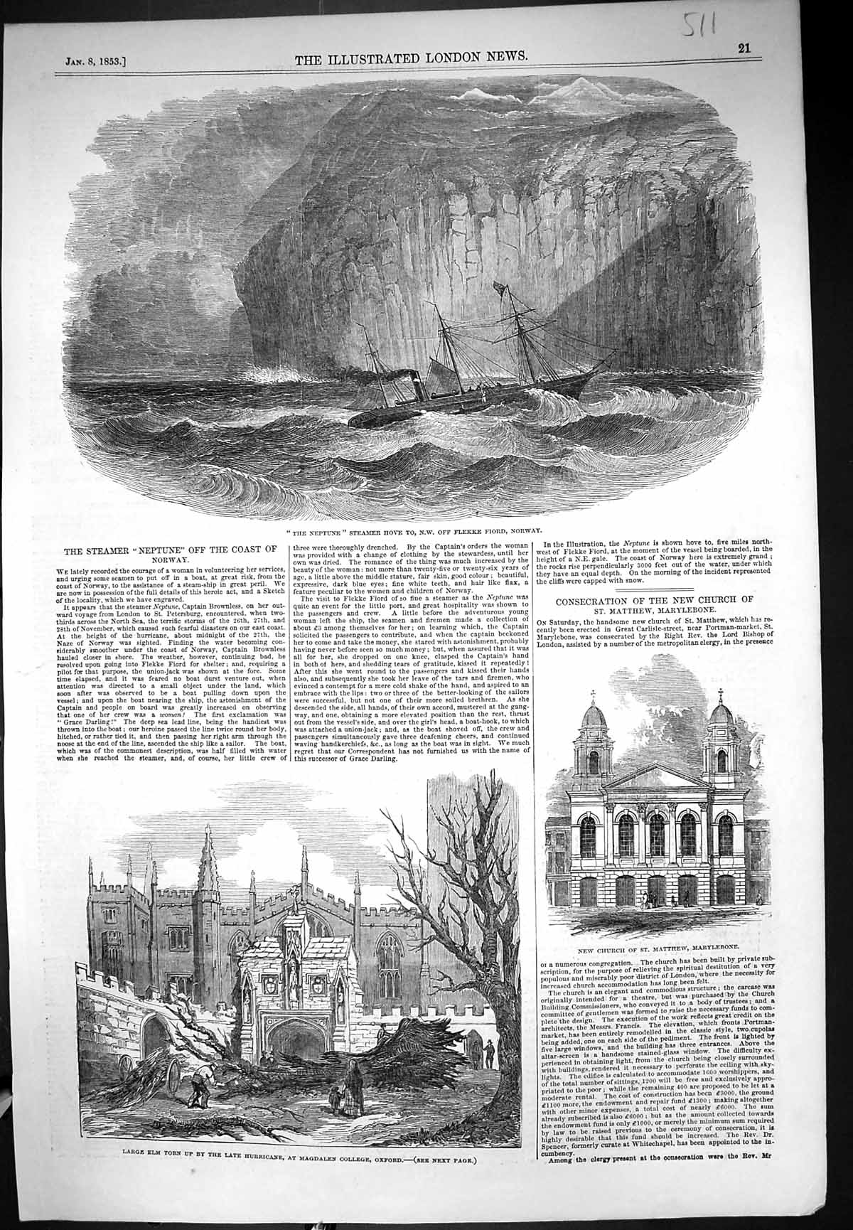 Old 1853 Elm Tree Torn Hurricane Magdalen College Neptune Ship Steame Victorian
