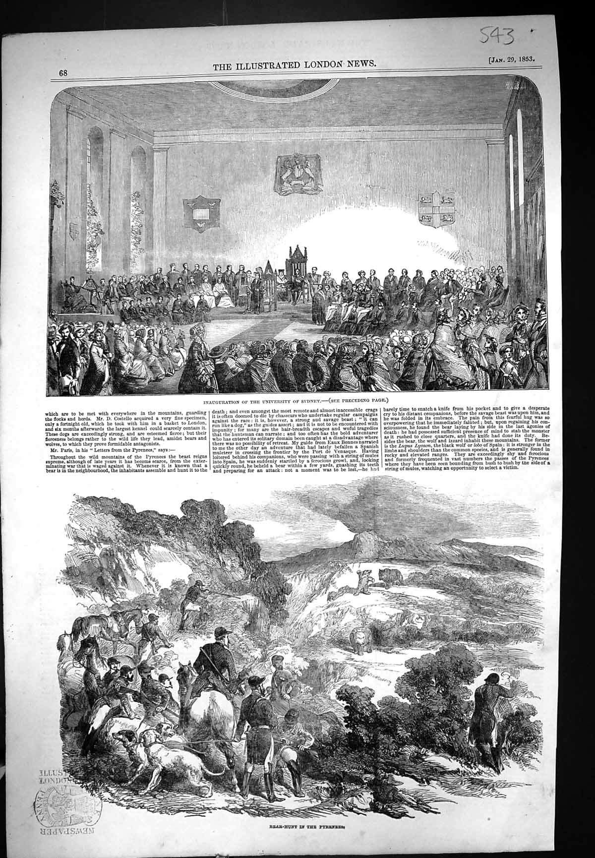 Old 1853 Inauguration University Sydney Bear Hunting Pyrenees Mountai Victorian