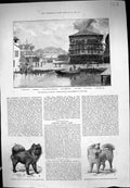 Old 1884 Cholera Toulon Alexander Training Ship Jupiter Fort Faron Ey Victorian