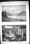 Old 1881 British Columbia Mouth River Skeena Australian Frozen Meat M Victorian