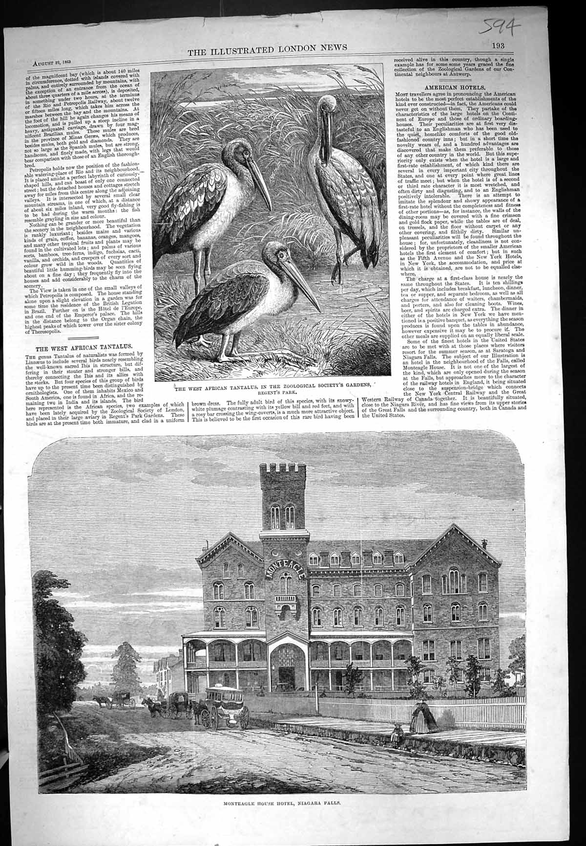Old 1863 African Tantalus Regent'S Park Monteagle House Hotel Niagara Victorian