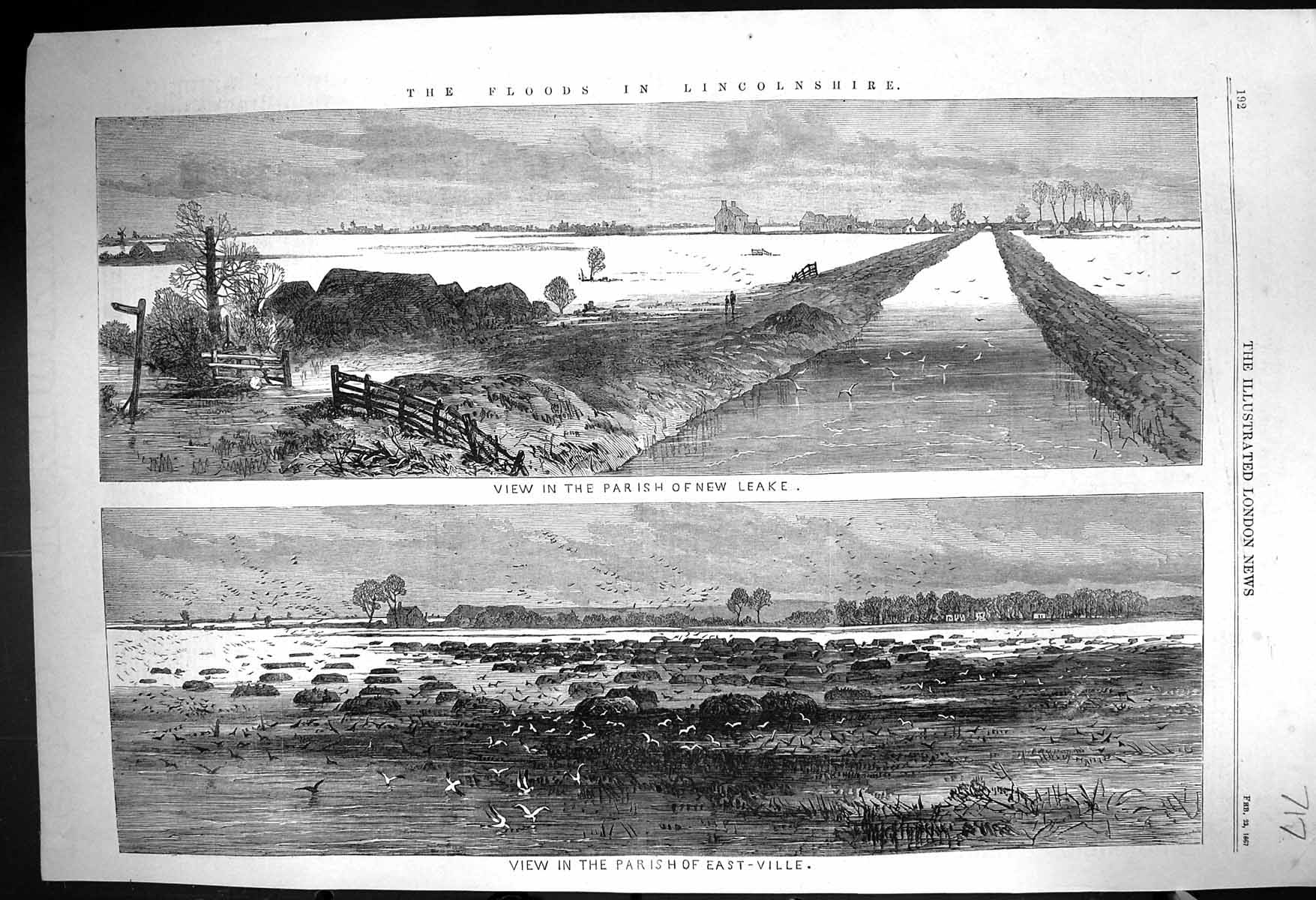 Old Print 1867 Floods Lincolnshire Parish Leake East-Ville Birds Fine Art 19th