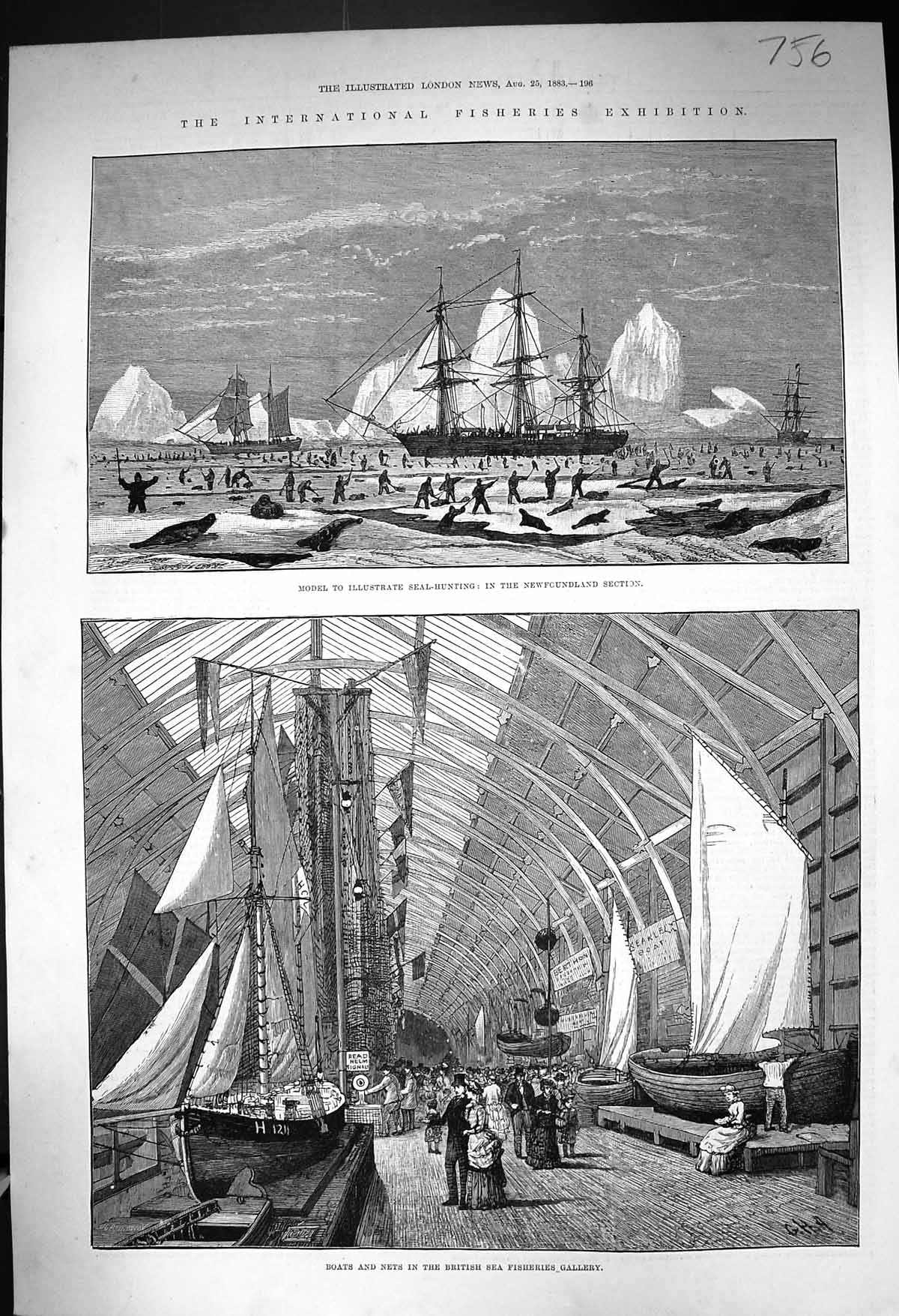 Old 1883 Seal Hunting Newfoundland Fisheries Exhibition Boats Nets Br Victorian