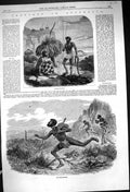 Original Old Antique Print 1863 Australia Snake Hunting Bee Hunters Maoris 19th