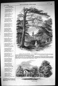 Original Old Antique Print 1852 View Osborne Park Trees Entrance Lodge 19th