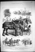 Old 1882 May-Day Procession Horses Newcastle-On-Tyne Burdett-Coutts S Victorian