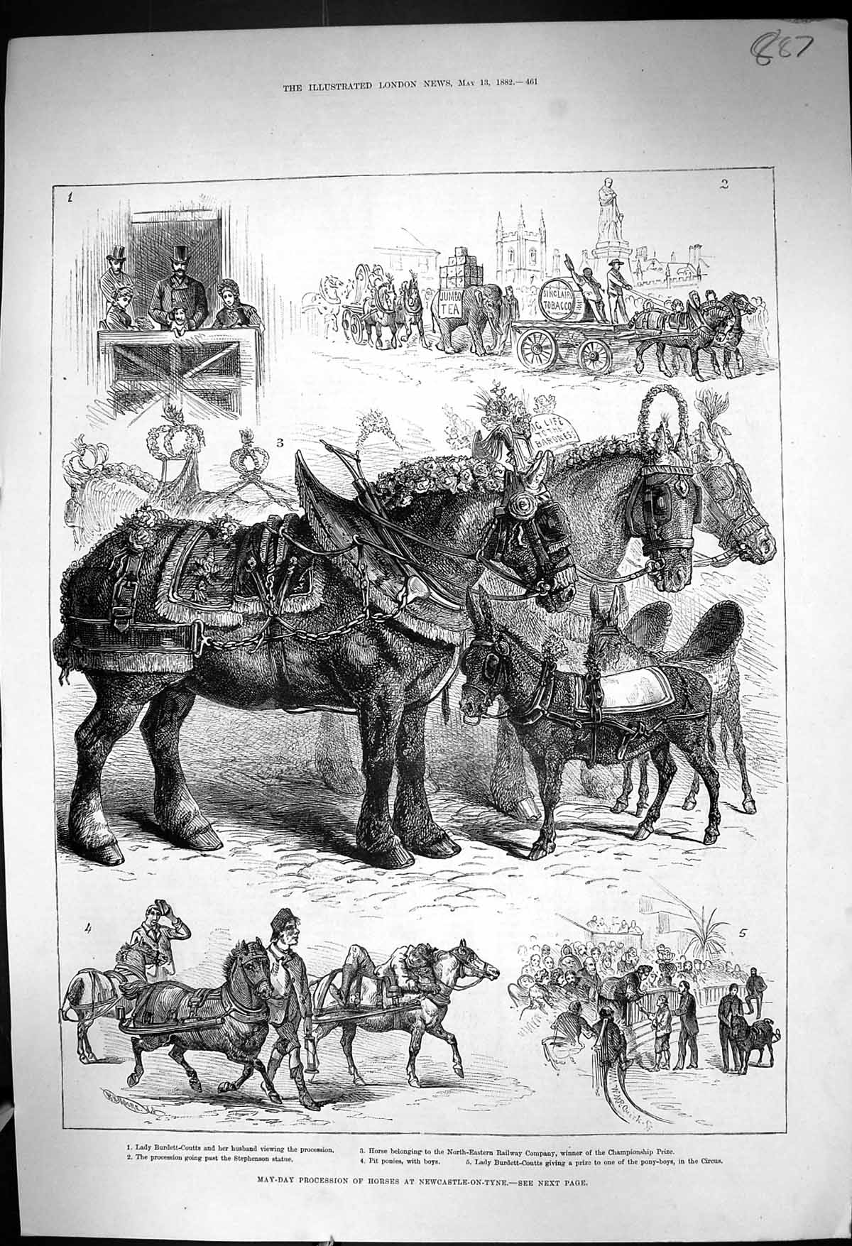 Old 1882 May-Day Procession Horses Newcastle-On-Tyne Burdett-Coutts S Victorian
