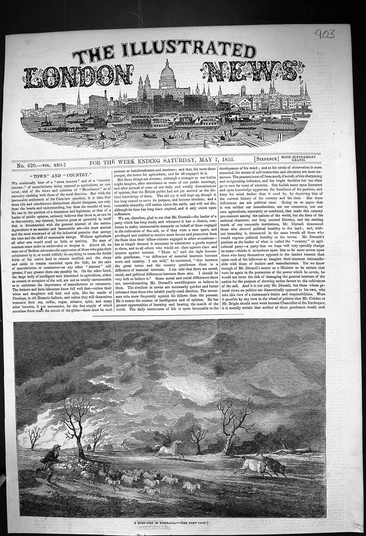Original Old Antique Print 1853 Bush Fire Australia Sheep Horses Cattle 19th
