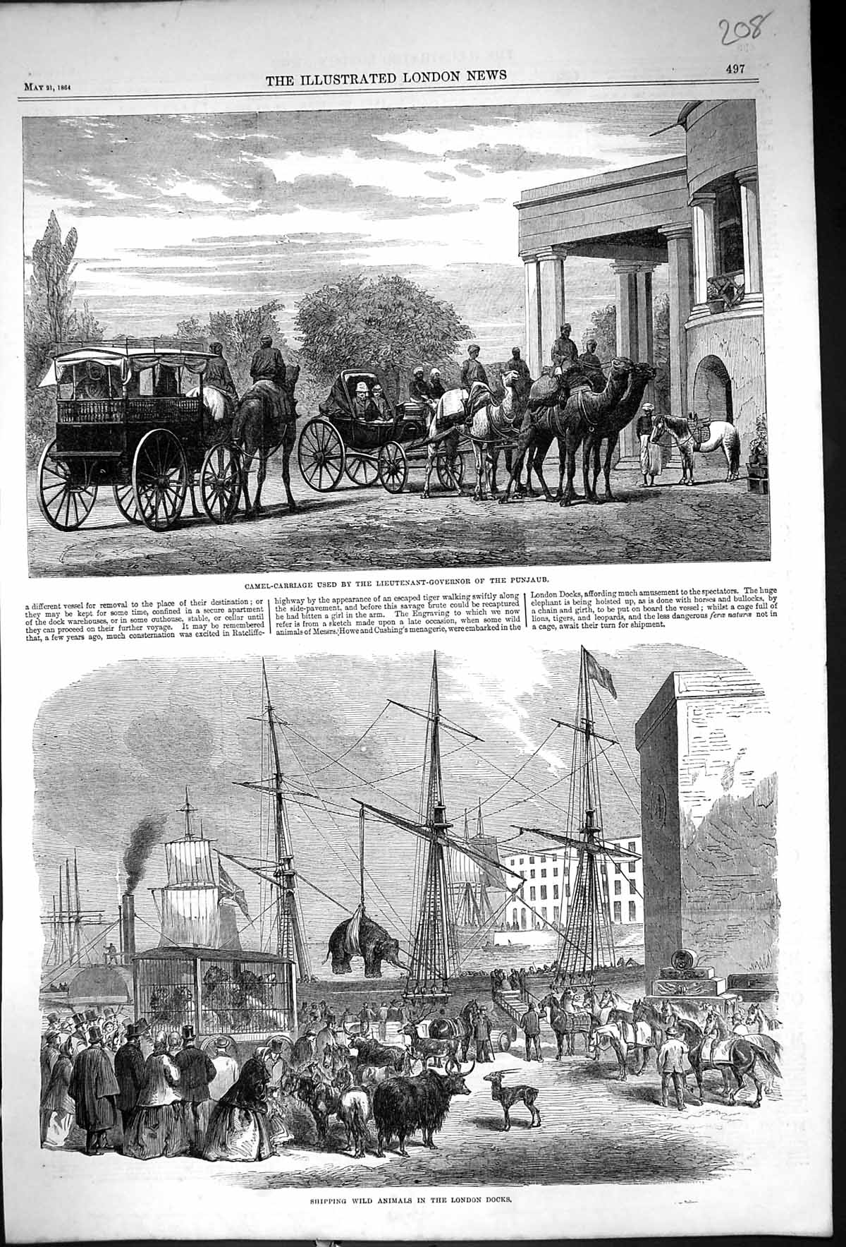 Old 1864 Camel Carriage Lieutenant-Governor Punjaub Ships Wild Animal Victorian