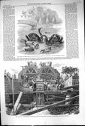 Old 1859 Drainage Metropolis Tunnels Wick Lane Ford Bow Black Swans C Victorian