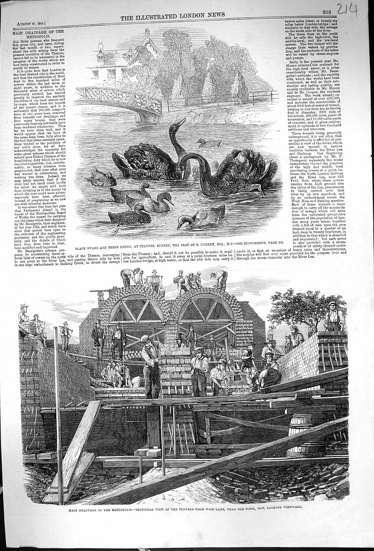 Old 1859 Drainage Metropolis Tunnels Wick Lane Ford Bow Black Swans C Victorian