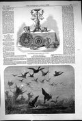 Antique Print 1857 Wild Duck Shooting Plate Presented Henry Workman Evesham