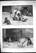Old 1884 Dadd Fine Art Robbery Violence Larceny Puppy Dogs Monkey Ani Victorian